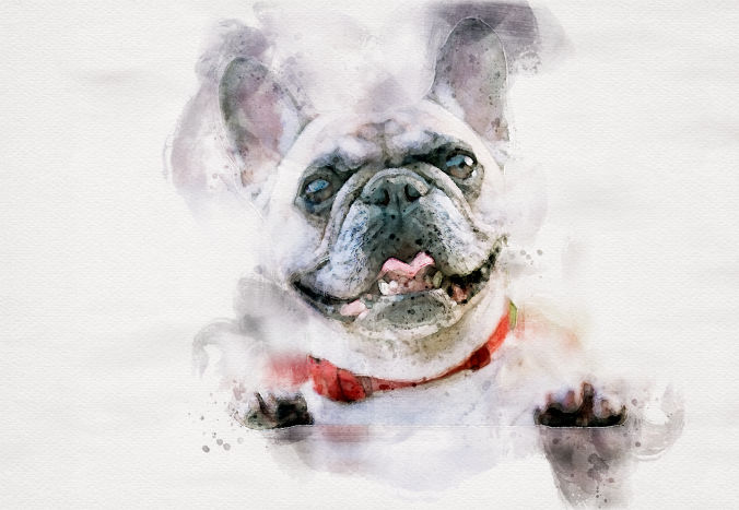 Watercolour pet portrait of a dog